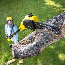 Best Commercial Tree Services  in Silver Grove, KY